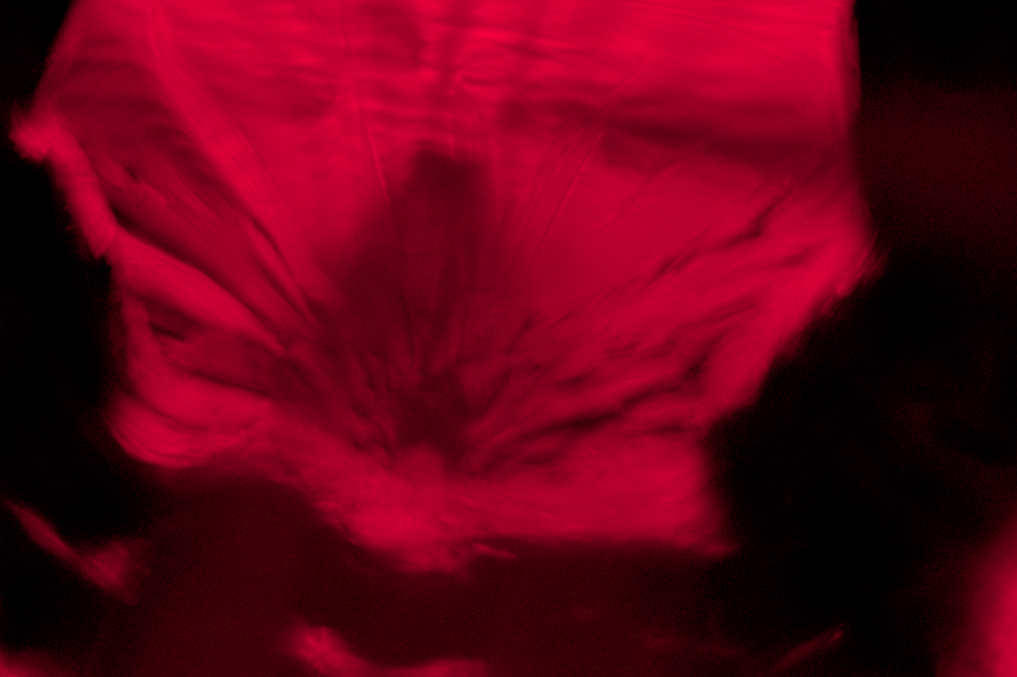 Image pleine largeur